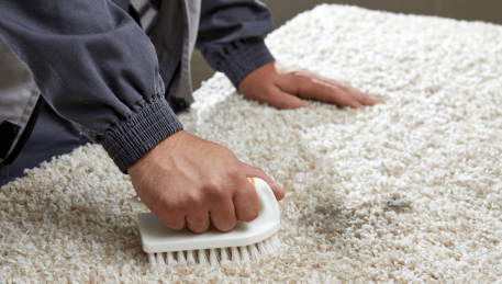 Professional Rug Cleaning Seaford