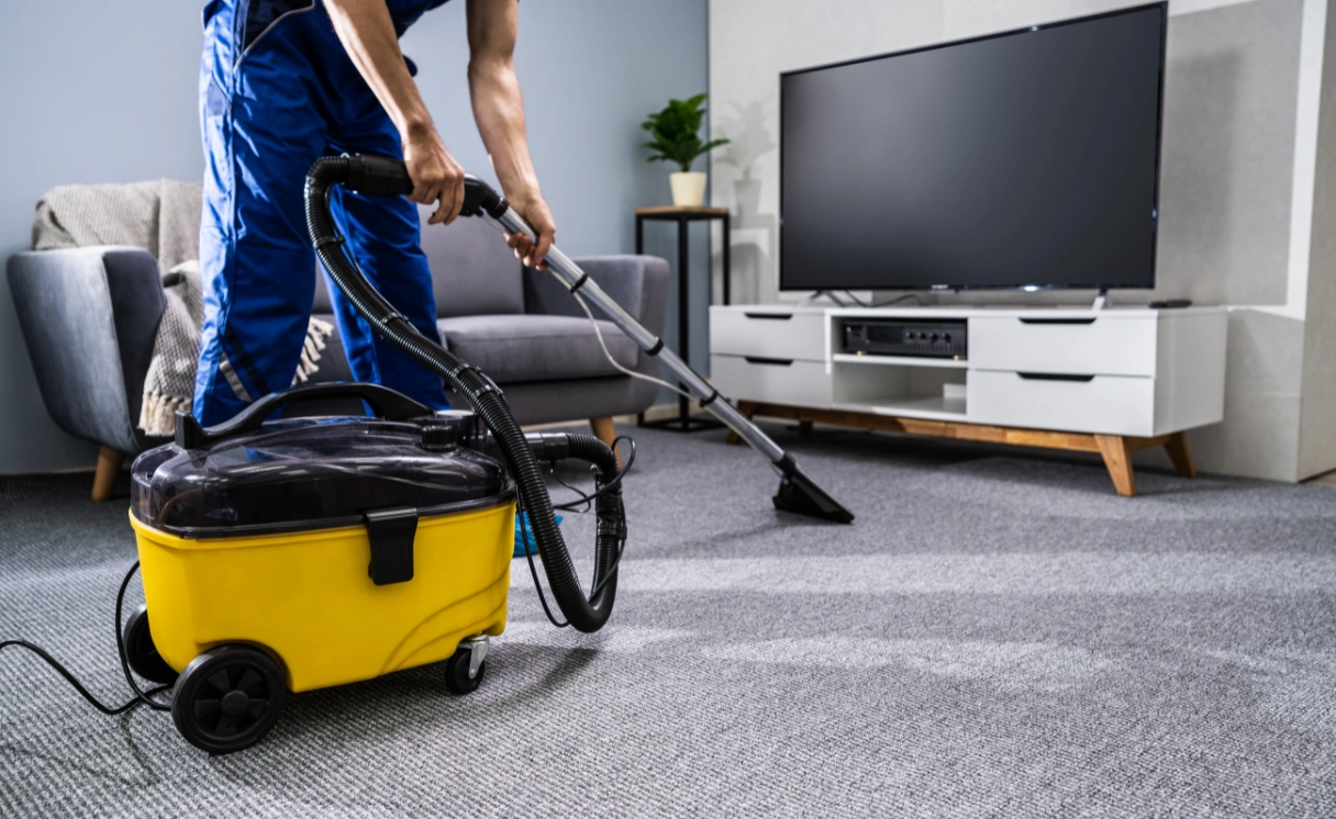 Extract Rug Cleaning Seaford Contact Office